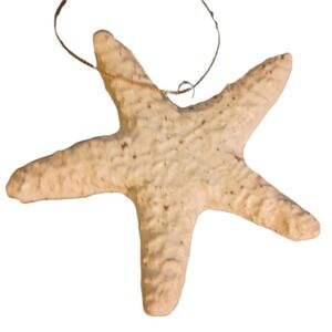 Ocean Shores‎ WA Starfish Ornament SKUH113